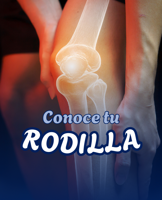 Imagen del programa