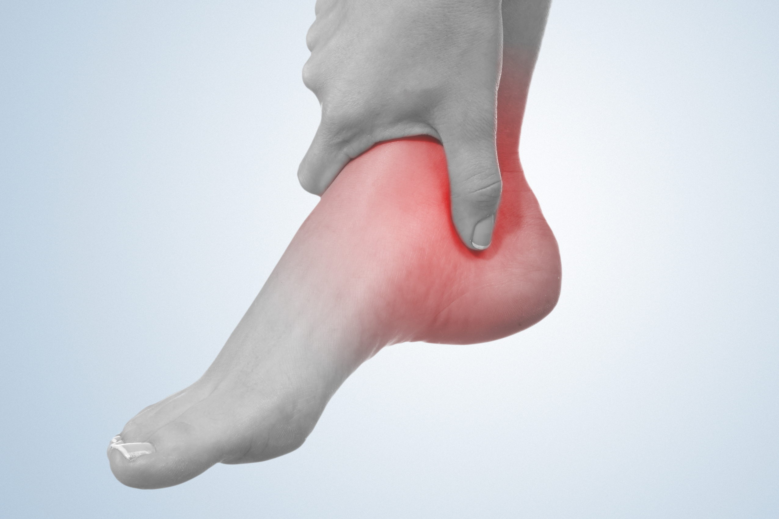 Bloque de Estabilidad